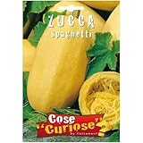 foto: acquista Semi - Zucca Spaghetti on-line, miglior prezzo EUR 4,99 nuovo 2024-2023 bestseller, recensione
