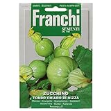 foto: acquista Seeds Of Italy Franchi Courgette rotonda di Nizza on-line, miglior prezzo EUR 2,61 nuovo 2024-2023 bestseller, recensione