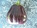 foto 10+ misti Semi della melanzana nero, Thai, Rosa, Chayo, Lungo, Casper, Florida e Altro 2024-2023