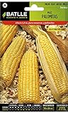 foto: acquista Battle - Semi Aromatici Mais per Pop Corn (Semi - 180Cm) on-line, miglior prezzo EUR 5,32 nuovo 2024-2023 bestseller, recensione