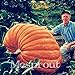 foto 20Pcs Super grandi semi di zucca vegetali non OGM giardino di casa fai da te bonsai dono di semi di zucca gigante commestibile per gli impianti di divertimento di Halloween 2024-2023