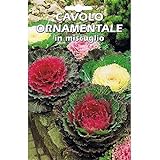 foto: acquista Vivai Le Georgiche Cavolo Ornamentale In Miscuglio (Semente) on-line, miglior prezzo EUR 4,90 nuovo 2024-2023 bestseller, recensione