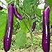 foto Rosepoem Adatto per piantare fattoria o casa Semi di melanzana viola lunga alta produzione 150PCS 2024-2023