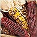 foto KINGDUO Egrow 10Pcs/Pack Mix Colore Mais Semi Frutta Semi Vegetali Giardino Decorazione Bonsai Pianta 2024-2023