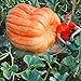 foto Gfone 20pcs / bag semi di zucca semi di zucca gigante di Halloween giardino domestico 2024-2023
