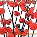 foto Pinkdose Rare russi semi di zucca melanzane, 100 semi/pacchetto, semi di Heirloom Solanum ornamentali melanzane 2024-2023