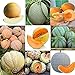 foto Portal Cool 11: 20 Pz/borsa Semi di melone Delicious Melone Seeds Home Garden Plants Btl8 2024-2023