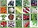 foto PLAT firm-SEMI Viridis Hortus - 20 confezioni dei semi di verdure - pomodoro, sedano, porro, pisello, senape nera Zest, carote, cicoria, Rapa ecc 2024-2023