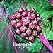 foto 200pc semi viola melanzana. Naturale sementi di ortaggi verdi. il ricco giardino piantato Semplice 2024-2023