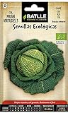 foto: acquista Battle - Semi Ecologici Verza di Milano 3 (225 Semi - Bio) on-line, miglior prezzo EUR 7,92 nuovo 2024-2023 bestseller, recensione
