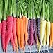 foto 300pcs carota Semi 100% del seme reale Delicious dolce e semi di ortaggi sani carota giardino della casa Impianto misto libero 2024-2023