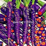 foto: acquista 300PCS / bag Drago viola di semi di carota ginseng anti-aging nutriente Bonsai piante Semi per la casa e il giardino on-line, miglior prezzo EUR 10,99 nuovo 2024-2023 bestseller, recensione