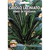 foto: acquista Vivai Le Georgiche Cavolo Laciniato Nero di Toscana (Semente) on-line, miglior prezzo EUR 4,20 nuovo 2024-2023 bestseller, recensione