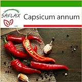 foto: acquista SAFLAX - Peperoncino di Cayenna - 20 semi - Con substrato - Capsicum annum on-line, miglior prezzo EUR 4,45 nuovo 2024-2023 bestseller, recensione