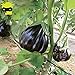 foto Go Garden Giant Black Beauty organico Melanzana di verdure, semi 100 semi/pacchetto, Frutta lucida Brinjaul annuali Nani Piante 2024-2023