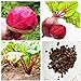 foto SEMI PLAT FIRM-Vendita calda Barbabietola Seed Vulgaris di verdure Seed Bulk semi di barbabietole non-OGM Heirloom Bonsai Casa Giardino 50 Pz 2024-2023