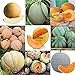 foto Portal Cool 07: 20 Pz/borsa Semi di melone Delicious Melone Seeds Home Garden Plants Rlwh 02 2024-2023