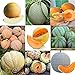 foto Portal Cool 11: 20Pcs / Bag Semi di melone Delicious Melone Seeds Home Garden Plants Fruit Rr6 01 2024-2023