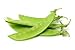 photo Sugar Snap Snow Peas, 50 Heirloom Seeds Per Packet, Non GMO Seeds, Botanical Name: Pisum sativum 'Macrocarpon Group', Isla's Garden Seeds 2024-2023