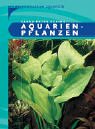 foto: jetzt Aquarienpflanzen Online, bester Preis 5,32 € neu 2024-2023 Bestseller, Rezension