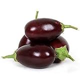 photo: You can buy Raavayya Eggplant Seeds (F1 Hybrid from India) VERY Prolific!!!!!(10 - Seeds) online, best price $4.79 new 2024-2023 bestseller, review