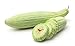 photo Armenian Yard-Long Cucumber Seeds - Non-GMO - 4 Grams, Approximately 130 Seeds 2024-2023