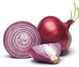 photo: You can buy Red Shortday Burgundy Onion Seeds, 300 Heirloom Seeds Per Packet, Non GMO Seeds, Botanical Name: Allium cepa, Isla's Garden Seeds online, best price $5.99 ($0.02 / Count) new 2024-2023 bestseller, review