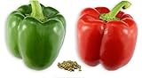 photo: You can buy RDR Seeds 100 California Wonder Sweet Pepper Seeds for Planting - Heirloom Non-GMO Pepper Seeds for Planting - Bell Pepper Matures from Green to Red online, best price $5.99 ($0.06 / Count) new 2024-2023 bestseller, review
