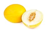 photo: You can buy Canary Yellow Melon Seeds - Non-GMO - 2 Grams online, best price $4.99 new 2024-2023 bestseller, review