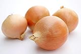 photo: You can buy Riverside Sweet Spanish Onion Seeds, 300 Heirloom Seeds Per Packet, Non GMO Seeds online, best price $5.99 new 2024-2023 bestseller, review