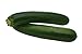 photo Black Beauty Zucchini Seeds - Non-GMO - 7 Grams, Approximately 60 Seeds 2024-2023