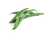 photo: You can buy Slenderette Green Bean (Bush Bean) Seeds, 50+ Heirloom Seeds Per Packet, (Isla's Garden Seeds), Non GMO Seeds, Scientific Name: Phaseolus vulgaris online, best price $5.99 ($0.12 / Count) new 2024-2023 bestseller, review