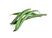 photo Slenderette Green Bean (Bush Bean) Seeds, 50+ Heirloom Seeds Per Packet, (Isla's Garden Seeds), Non GMO Seeds, Scientific Name: Phaseolus vulgaris 2024-2023
