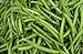 foto Verde semilla de frijol: Furano haba verde semillas frescas Semilla !!!! (100 + semillas) 2024-2023