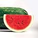 photo Park Seed Sangria Hybrid Watermelon Seeds, Pack of 10 Seeds 2024-2023