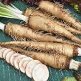 foto: comprar Genipap 20 Semillas de hortalizas de rábano picante ruso Blanco. on-line, mejor precio 14,99 € nuevo 2024-2023 éxito de ventas, revisión