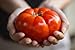 foto Semillas de tomate / Red jugosa gigante / aprox. 50 semillas / tomate gigante / semillas de hortalizas / autosuficiente 2024-2023