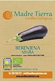 foto: comprar Semillas ecológicas de Berenjena Negra on-line, mejor precio 9,12 € nuevo 2024-2023 éxito de ventas, revisión