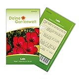 foto: jetzt Lein rot Samen - Linum grandiflorum - Leinsamen - Blumensamen - Saatgut für 70 Pflanzen Online, bester Preis 1,99 € (0,03 € / stück) neu 2024-2023 Bestseller, Rezension