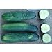 photo County Fair F1 Hybrid Cucumber Seeds (40 Seed Pack) 2024-2023