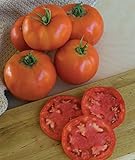 photo: You can buy Burpee 'Super Beefsteak' | Red Beefsteak Slicing Tomato | 175 Seeds online, best price $6.62 new 2024-2023 bestseller, review