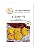 foto: jetzt Y-Star F1 BIO Kürbissamen von Bobby-Seeds Portion Online, bester Preis 2,95 € neu 2024-2023 Bestseller, Rezension