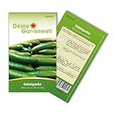 foto: jetzt Salatgurke Tanja Samen - Cucumis sativus - Gurkensamen - Gemüsesamen - Saatgut für 8 Pflanzen Online, bester Preis 1,99 € (0,25 € / stück) neu 2024-2023 Bestseller, Rezension