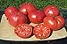 photo Ohio Heirloom Seeds Beefsteak Tomato Seeds 75+ Heirloom Variety Grown in 2020 2024-2023