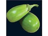 photo: You can buy 25 APPLEGREEN EGGPLANT Green Fruit / Vegetable Solanum Melongena Seeds online, best price $3.00 ($0.12 / Count) new 2024-2023 bestseller, review