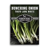 photo: You can buy Survival Garden Seeds - Tokyo Long White Onion Seed for Planting - Pack with Instructions to Plant and Grow Asian Green Onions in Your Home Vegetable Garden - Non-GMO Heirloom Variety online, best price $4.99 new 2024-2023 bestseller, review