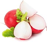 photo: You can buy Cherry Belle Radish Seeds | Vegetable Seeds for Planting Outdoor Gardens | Heirloom & Non-GMO | Planting Instructions Included online, best price $6.95 new 2024-2023 bestseller, review