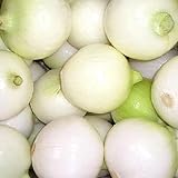 photo: You can buy 500 CRYSTAL WHITE WAX PEARL ONION Allium Cepa Vegetable Seeds online, best price $3.00 new 2024-2023 bestseller, review