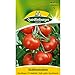 foto Tomate, Harzfeuer F1 2024-2023