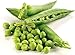 photo Non-GMO, Pea Seeds, 130 Seeds, Bend and Snap Pea 2024-2023
